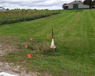 Parking  your cars & trucks in the pasture