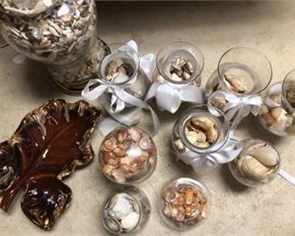 Lot 147 
Large Shell Collection