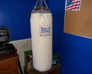 Everlast Punching Bag (attached to ceiling, will need to be removed)