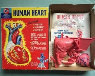 Vintage Human Heart Model Kit with Box