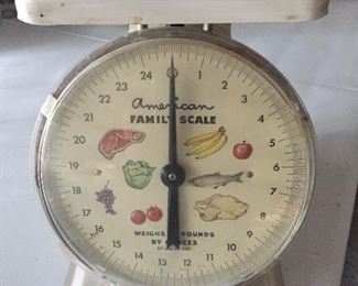 American Family Scale