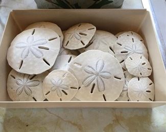 Sand Dollars