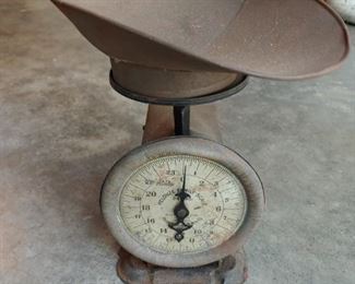 Old Scale with Pan