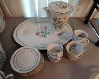 Haviland Brothers Garden Flower China