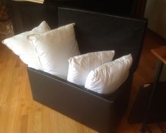 New and used king size pillows.  Toy box too
