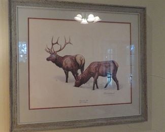 American Elk print