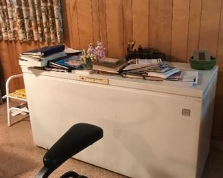Stand alone freezer