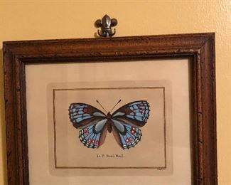 Butterfly wallhanging