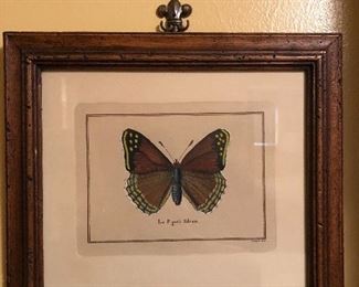 Butterfly wallhanging