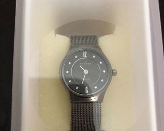Collection of ladies watches Skagen Titanium