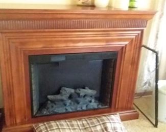 Electric Fireplace. only
