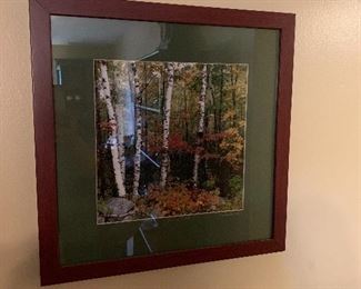 Signed photo