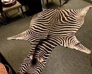 The African zebra rug in close to perfect condition 