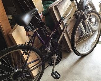 Pacific Voyager Bike