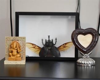 Home Decor - Stag Beetle Taxidermy, Ganesha Statue, Picture Frames 