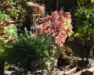 Garden Decor - Plants & Plant Stands
