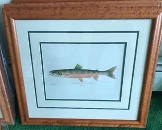 1 of 15 Sherman F Denton Chromolithograph Book Plates of Fish 1856-1937