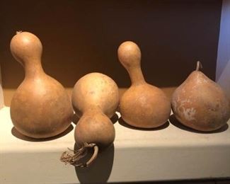 Gourds