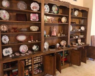 shelves of jellyfish