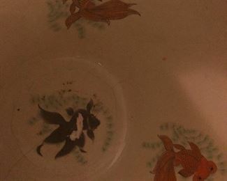 goldfish frozen in time