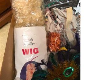 WIGS and feathery mardi gras masks!
