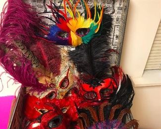 flock of colorful seagulls