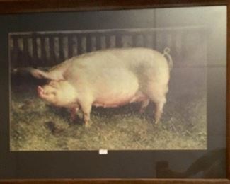 Print of Pig https://ctbids.com/#!/description/share/274885