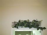 Greenery arrangement over door