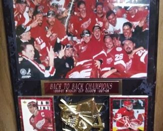 Back to Back Red Wings Champs