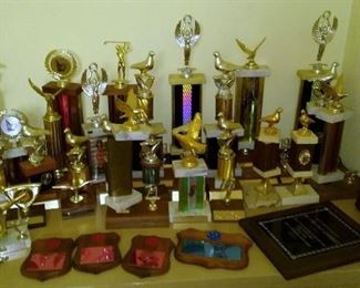 Birding and other trophies and awards.
