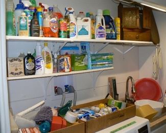 Household chemicals and items.