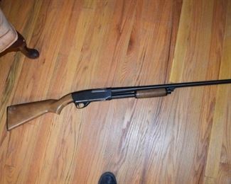 Springfield Shotgun, 20 Gauge