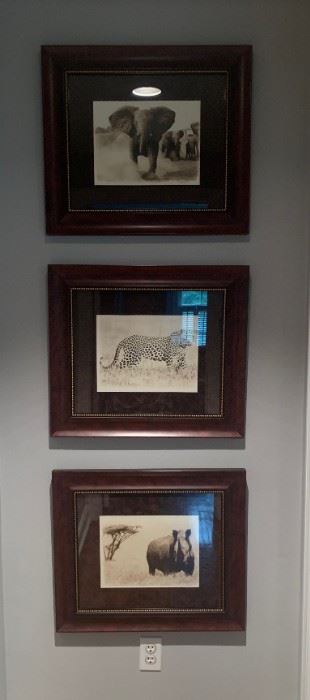 Framed Photographs with Suede Matting
