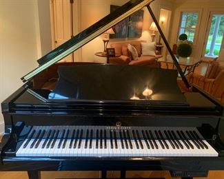 STORY AND CLARD POLISHED BLACK BABY GAND PETITE 5 FT I BEAUTUFIL AND MINT