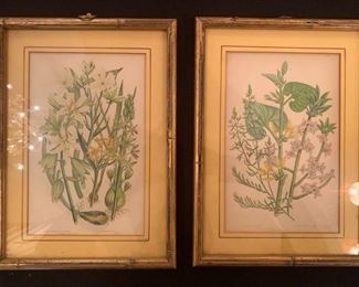 Tiny Pair of Botanicals