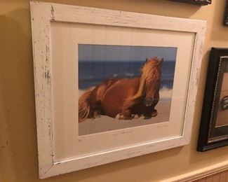 GREAT BEACH HORSE WALL ART