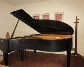 Bluthner German black laquer parlor grand piano