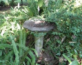 Bird Bath