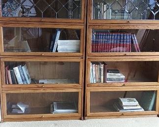 Beveled glass "lawyer's bookcases"