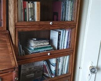 Beveled glass "lawyer's bookcases"