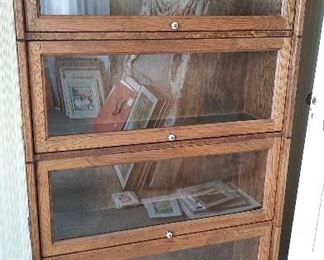 Beveled glass "lawyer's bookcases"