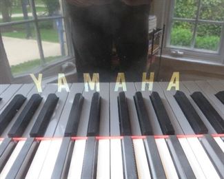 Yamaha G3 Grand Piano
Polished Ebony