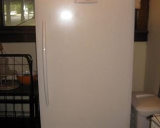 Standing freezer