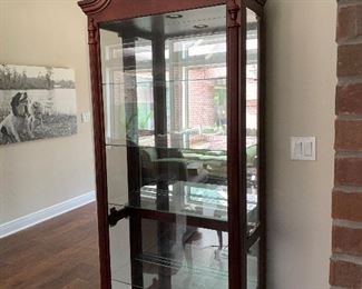 Super Nice Curio Cabinet