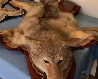 Coyote Rug
