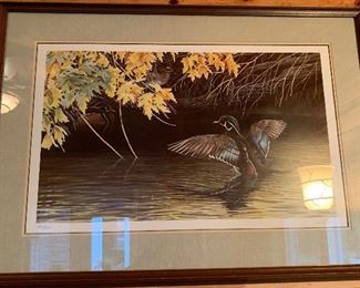 Wildlife Prints