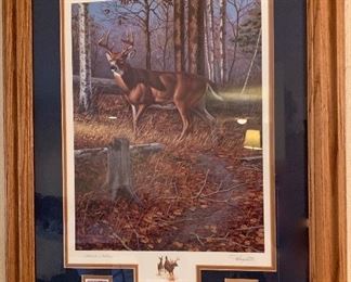 Wildlife Prints