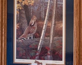 Wildlife Prints