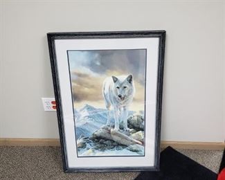 wolf picture
