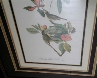 tbs framed botanical and bird prints